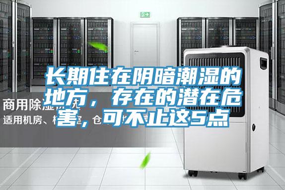 長期住在陰暗潮濕的地方，存在的潛在危害，可不止這5點