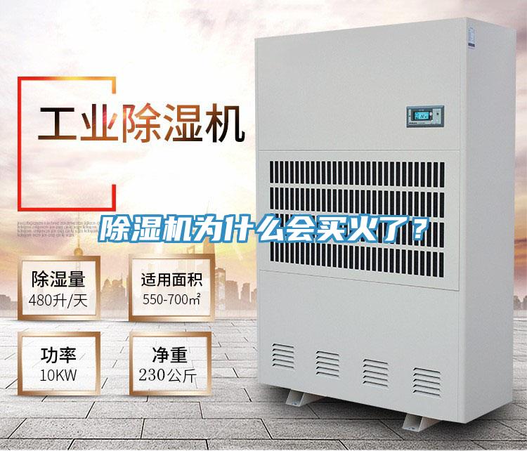 除濕機為什么會買火了？