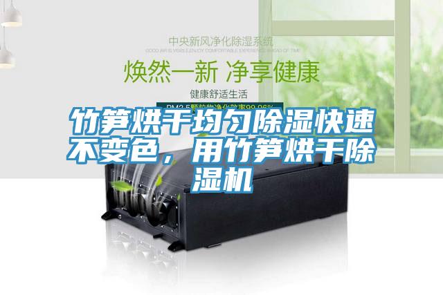竹筍烘干均勻除濕快速不變色，用竹筍烘干除濕機(jī)
