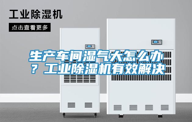 生產(chǎn)車(chē)間濕氣大怎么辦？工業(yè)除濕機(jī)有效解決