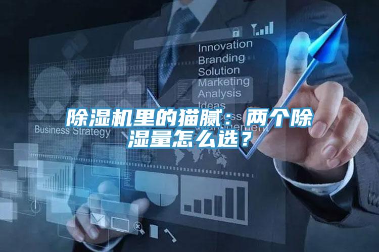 除濕機(jī)里的貓膩：兩個除濕量怎么選？