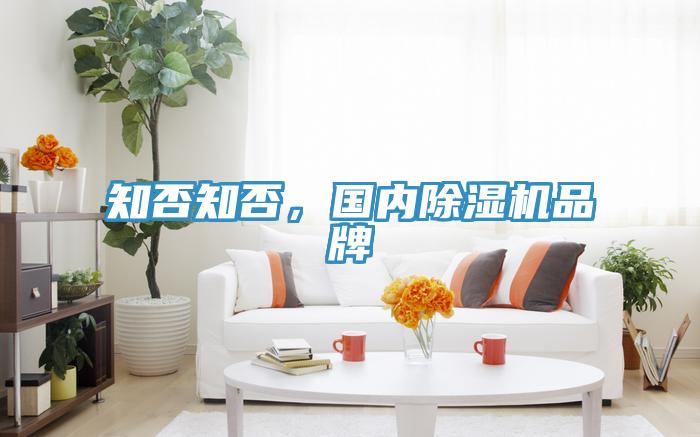 知否知否，國(guó)內(nèi)除濕機(jī)品牌