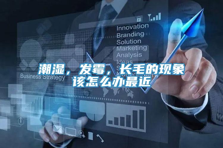 潮濕，發(fā)霉，長毛的現(xiàn)象該怎么辦最近