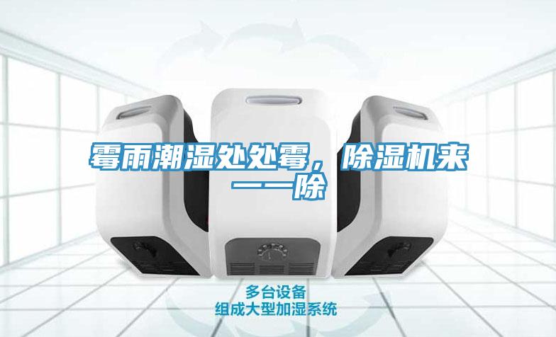 霉雨潮濕處處霉，除濕機(jī)來(lái)一一除