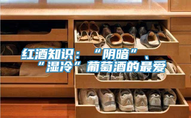 紅酒知識：“陰暗”、“濕冷”葡萄酒的最愛