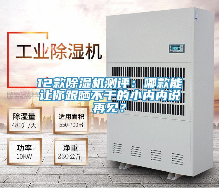 12款除濕機(jī)測(cè)評(píng)：哪款能讓你跟曬不干的小內(nèi)內(nèi)說(shuō)再見(jiàn)？