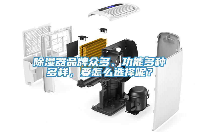除濕器品牌眾多、功能多種多樣，要怎么選擇呢？