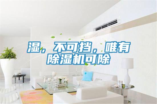 濕，不可擋，唯有除濕機可除