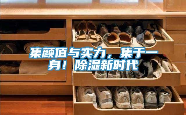 集顏值與實(shí)力，集于一身！除濕新時(shí)代