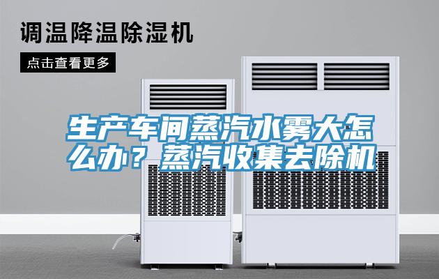 生產(chǎn)車(chē)間蒸汽水霧大怎么辦？蒸汽收集去除機(jī)