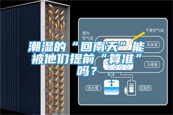 潮濕的“回南天”能被他們提前“算準”嗎？
