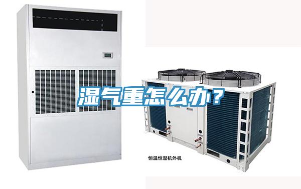 濕氣重怎么辦？