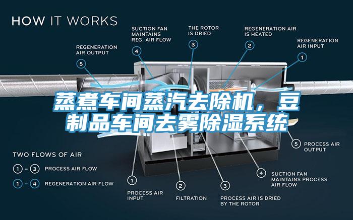 蒸煮車(chē)間蒸汽去除機(jī)，豆制品車(chē)間去霧除濕系統(tǒng)