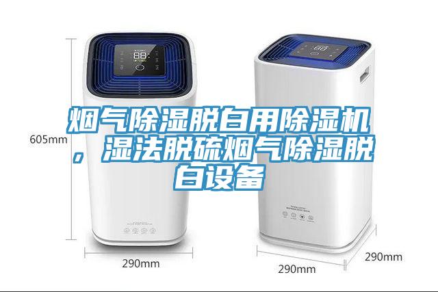 煙氣除濕脫白用除濕機，濕法脫硫煙氣除濕脫白設(shè)備