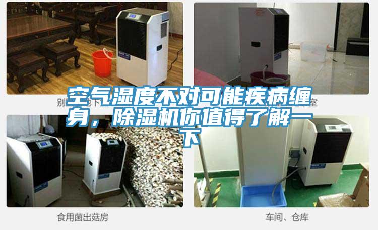空氣濕度不對可能疾病纏身，除濕機你值得了解一下