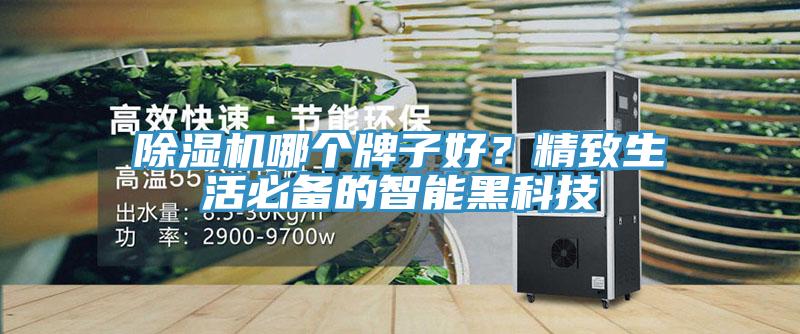 除濕機哪個牌子好？精致生活必備的智能黑科技