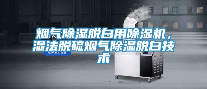 煙氣除濕脫白用除濕機(jī)，濕法脫硫煙氣除濕脫白技術(shù)