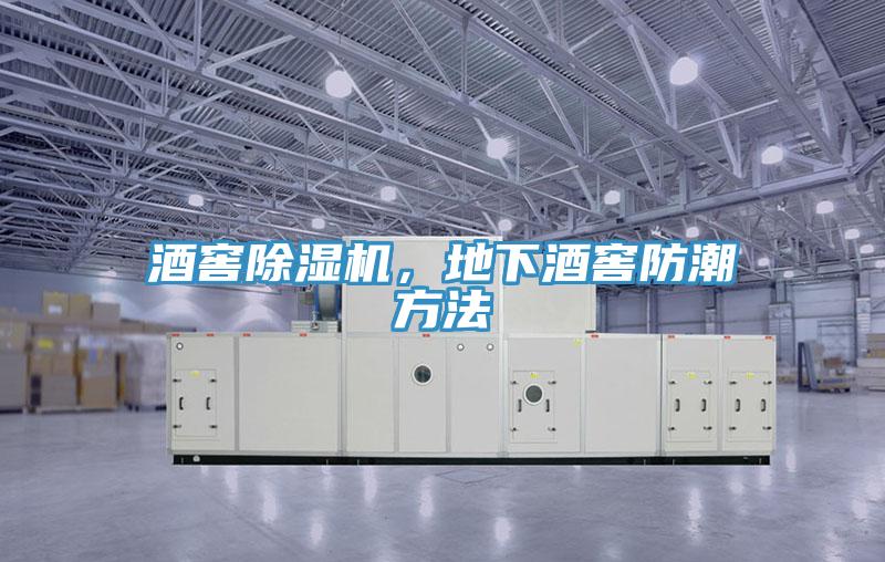 酒窖除濕機(jī)，地下酒窖防潮方法