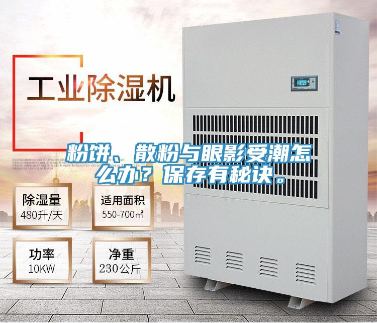 粉餅、散粉與眼影受潮怎么辦？保存有秘訣。