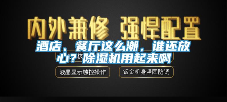 酒店、餐廳這么潮，誰還放心？除濕機用起來啊