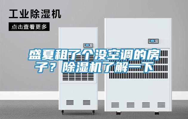 盛夏租了個沒空調的房子？除濕機了解一下