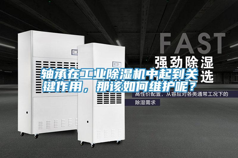 軸承在工業(yè)除濕機中起到關(guān)鍵作用，那該如何維護呢？
