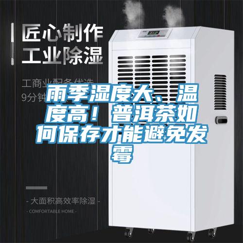 雨季濕度大、溫度高！普洱茶如何保存才能避免發(fā)霉