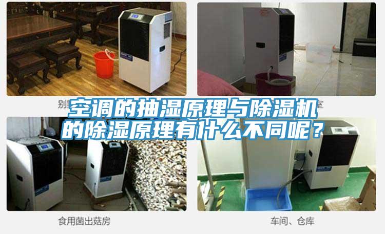 空調(diào)的抽濕原理與除濕機(jī)的除濕原理有什么不同呢？