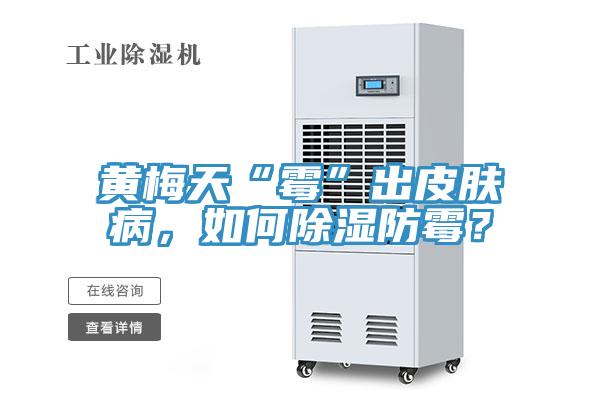 黃梅天“霉”出皮膚病，如何除濕防霉？