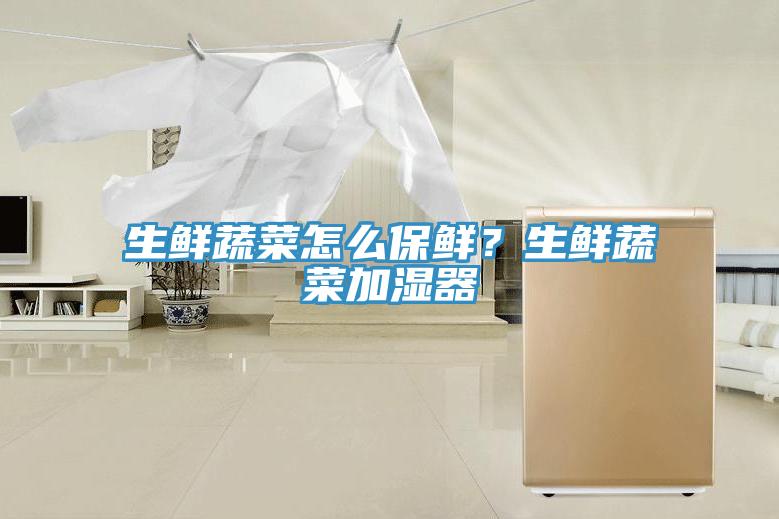 生鮮蔬菜怎么保鮮？生鮮蔬菜加濕器