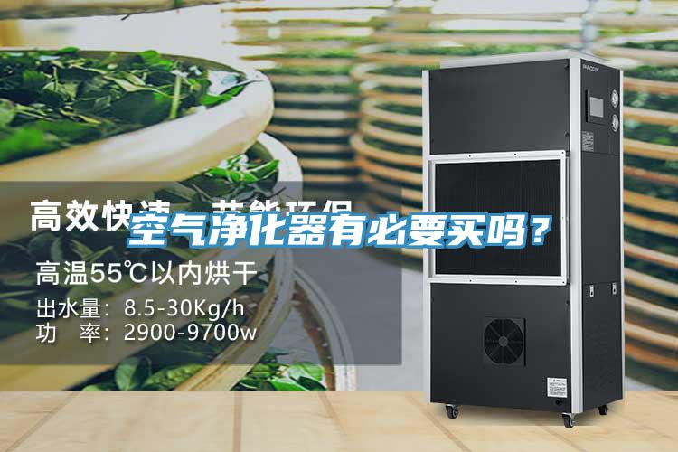空氣凈化器有必要買嗎？