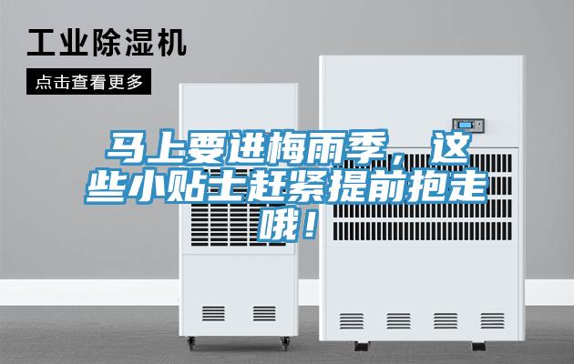 馬上要進(jìn)梅雨季，這些小貼士趕緊提前抱走哦！