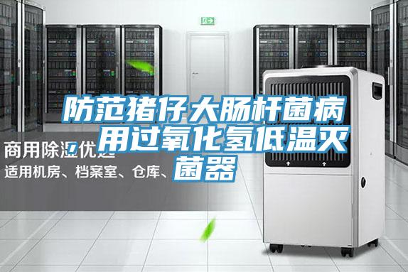 防范豬仔大腸桿菌病，用過氧化氫低溫滅菌器