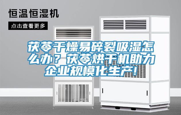 茯苓干燥易碎裂吸濕怎么辦？茯苓烘干機助力企業(yè)規(guī)?；a(chǎn)!