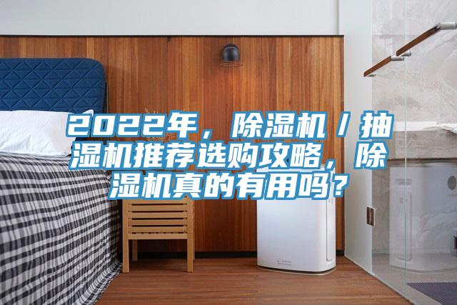 2022年，除濕機／抽濕機推薦選購攻略，除濕機真的有用嗎？