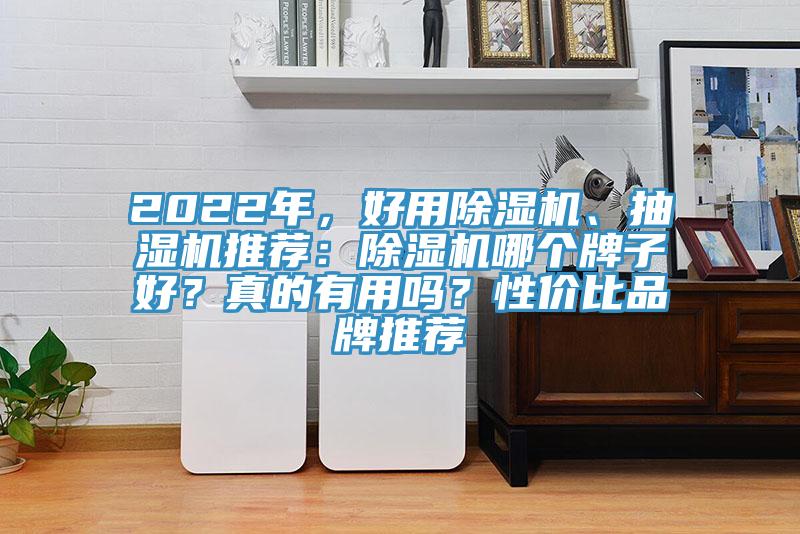 2022年，好用除濕機、抽濕機推薦：除濕機哪個牌子好？真的有用嗎？性價比品牌推薦