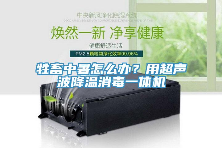 牲畜中暑怎么辦？用超聲波降溫消毒一體機(jī)