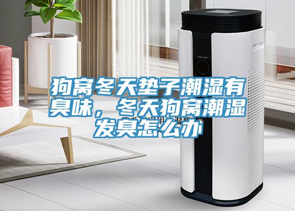 狗窩冬天墊子潮濕有臭味，冬天狗窩潮濕發(fā)臭怎么辦
