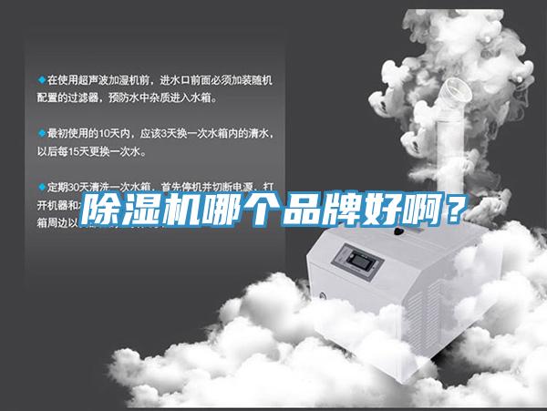 除濕機哪個品牌好啊？