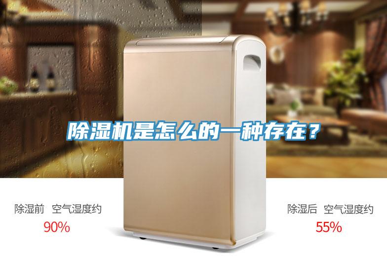 除濕機是怎么的一種存在？