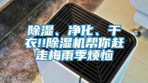 除濕、凈化、干衣!!除濕機幫你趕走梅雨季煩惱