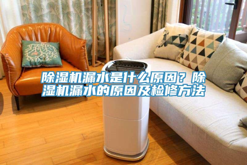 除濕機(jī)漏水是什么原因？除濕機(jī)漏水的原因及檢修方法