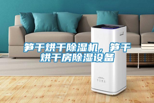 筍干烘干除濕機，筍干烘干房除濕設(shè)備