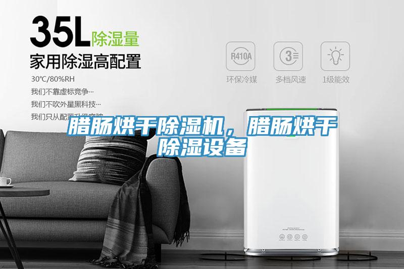 臘腸烘干除濕機(jī)，臘腸烘干除濕設(shè)備