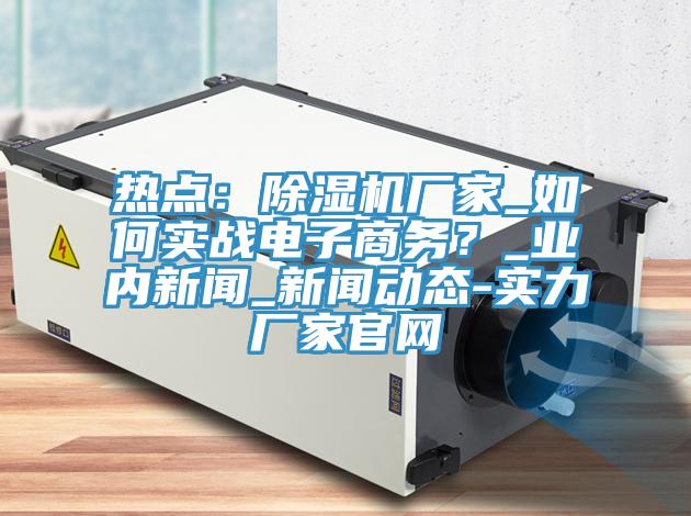 熱點(diǎn)：除濕機(jī)廠家_如何實(shí)戰(zhàn)電子商務(wù)？_業(yè)內(nèi)新聞_新聞動態(tài)-實(shí)力廠家官網(wǎng)