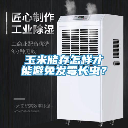 玉米儲(chǔ)存怎樣才能避免發(fā)霉長蟲？