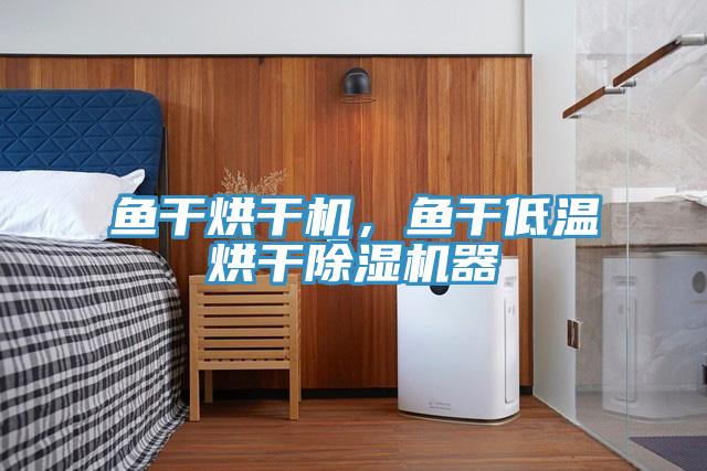 魚干烘干機，魚干低溫烘干除濕機器