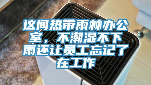 這間熱帶雨林辦公室，不潮濕不下雨還讓員工忘記了在工作