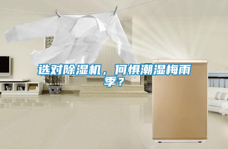 選對除濕機，何懼潮濕梅雨季？