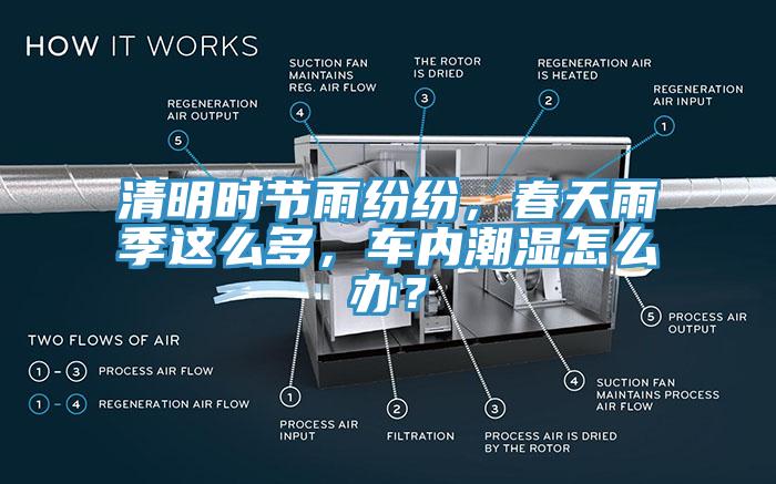 清明時(shí)節(jié)雨紛紛，春天雨季這么多，車內(nèi)潮濕怎么辦？